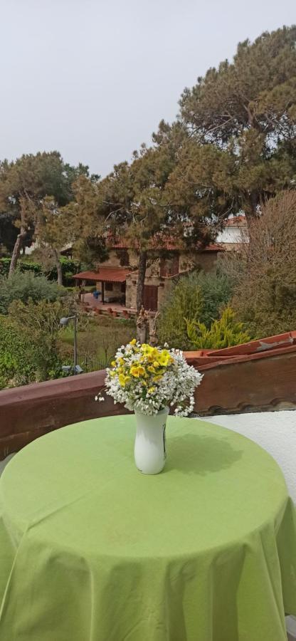 سيدي Tas Motel المظهر الخارجي الصورة